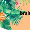 brain（关于brain的简介）