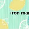 iron man（关于iron man的简介）