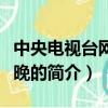 中央电视台网络春晚（关于中央电视台网络春晚的简介）