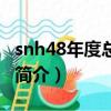 snh48年度总决选（关于snh48年度总决选的简介）
