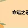 命运之矛（关于命运之矛的简介）