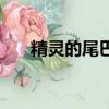 精灵的尾巴（关于精灵的尾巴的简介）