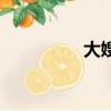 大嫂（关于大嫂的简介）