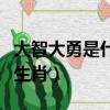 大智大勇是什么生肖查一下（大智大勇是什么生肖）