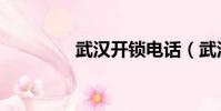 武汉开锁电话(武汉开锁)