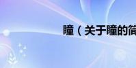 瞳(关于瞳的简介)