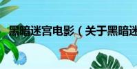 黑暗迷宫电影(关于黑暗迷宫电影的简介)