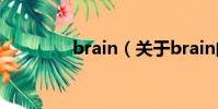 brain(关于brain的简介)