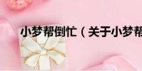 小梦帮倒忙(关于小梦帮倒忙的简介)