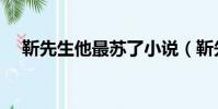 靳先生他最苏了小说(靳先生他最苏了)