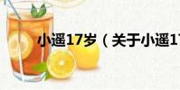 小遥17岁(关于小遥17岁的简介)