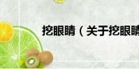 挖眼睛(关于挖眼睛的简介)