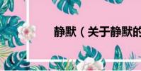 静默(关于静默的简介)