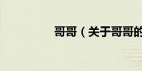 哥哥(关于哥哥的简介)