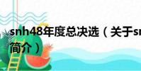 snh48年度总决选(关于snh48年度总决选的简介)