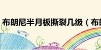 布朗尼半月板撕裂几级(布朗尼半月板撕裂)