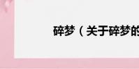 碎梦(关于碎梦的简介)