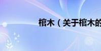棺木(关于棺木的简介)