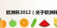 欧洲杯2012(关于欧洲杯2012的简介)