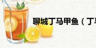 聊城丁马甲鱼(丁马甲鱼)
