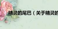 精灵的尾巴(关于精灵的尾巴的简介)
