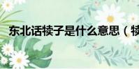 东北话犊子是什么意思(犊子是什么意思)