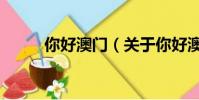 你好澳门(关于你好澳门的简介)
