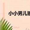 小小男儿狼（关于小小男儿狼的简介）