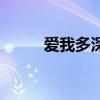 爱我多深（关于爱我多深的简介）