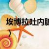 埃博拉吐内脏图（关于埃博拉吐内脏图的简介）