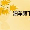 泊车殿下（关于泊车殿下的简介）