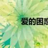 爱的困惑（关于爱的困惑的简介）