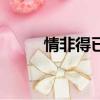 情非得已（关于情非得已的简介）