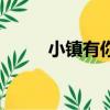 小镇有你（关于小镇有你的简介）