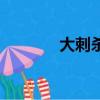 大刺杀（关于大刺杀的简介）