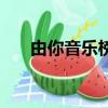 由你音乐榜（关于由你音乐榜的简介）