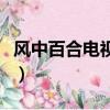 风中百合电视剧（关于风中百合电视剧的简介）