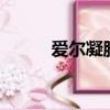 爱尔凝胶1盒多少钱（爱尔凝胶）