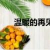 温暖的再见（关于温暖的再见的简介）
