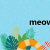 meow（关于meow的简介）