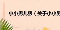 小小男儿狼(关于小小男儿狼的简介)