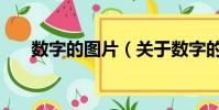 数字的图片(关于数字的图片的简介)