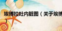 埃博拉吐内脏图(关于埃博拉吐内脏图的简介)