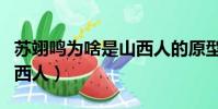 苏翊鸣为啥是山西人的原型(苏翊鸣为啥是山西人)