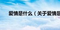 爱情是什么(关于爱情是什么的简介)