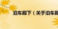 泊车殿下(关于泊车殿下的简介)