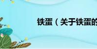 铁蛋(关于铁蛋的简介)