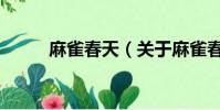 麻雀春天(关于麻雀春天的简介)