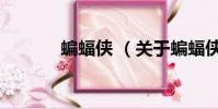 蝙蝠侠 (关于蝙蝠侠 的简介)