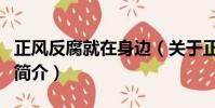 正风反腐就在身边(关于正风反腐就在身边的简介)